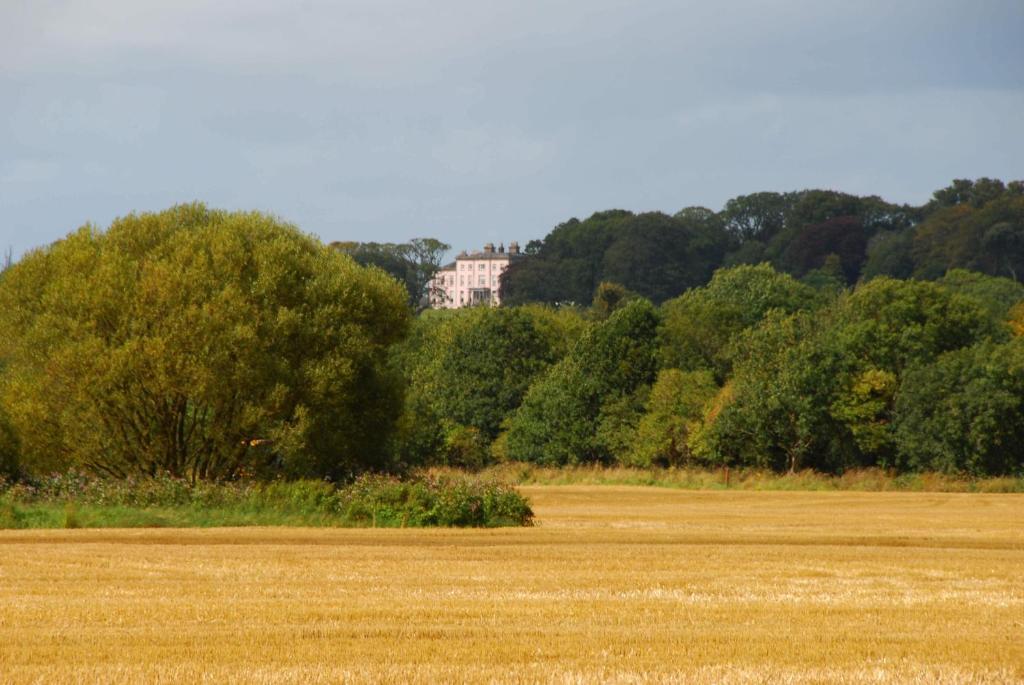 Longueville House Hotel Mallow Bagian luar foto